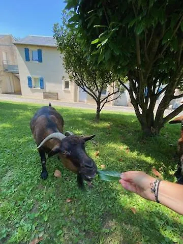 T3 Goelia Lejlighed Pierrefiche (Aveyron)